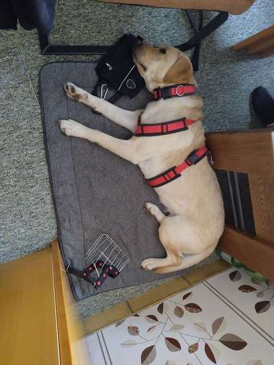 Was hat euch heute gefreut?-Beitrag-Bild