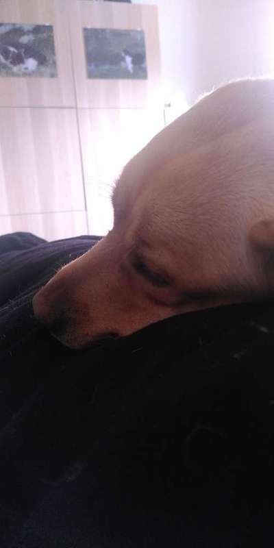 Was hat euch heute gefreut?-Beitrag-Bild