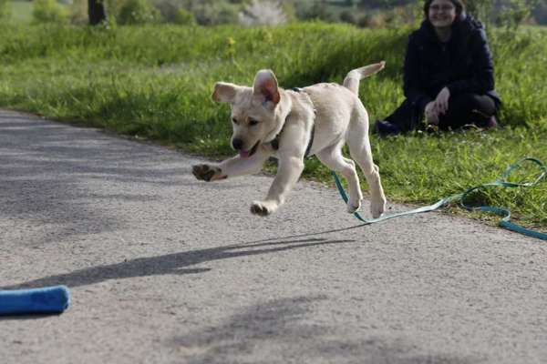 Foto Challenge Nr. 137 - Lass die Ohren fliegen-Beitrag-Bild