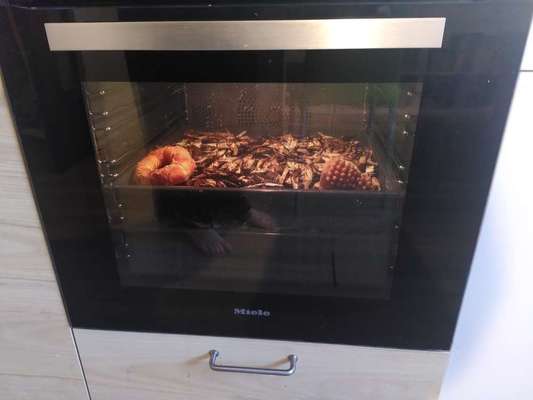 Was hat euch heute genervt?-Beitrag-Bild