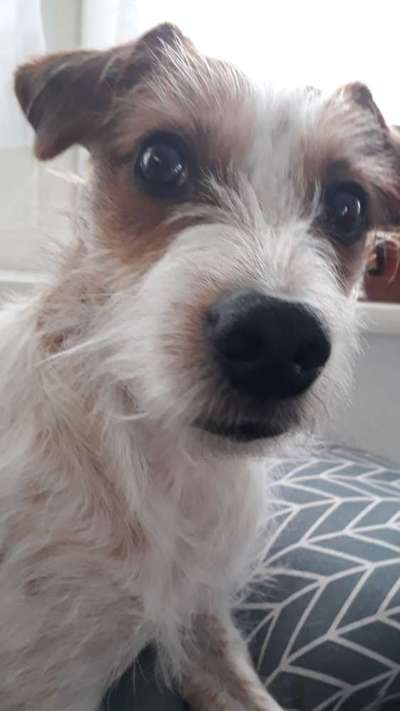 Fotochallange Nr. 57     PORTRÄT.   Beendet!!!!!!!!-Beitrag-Bild