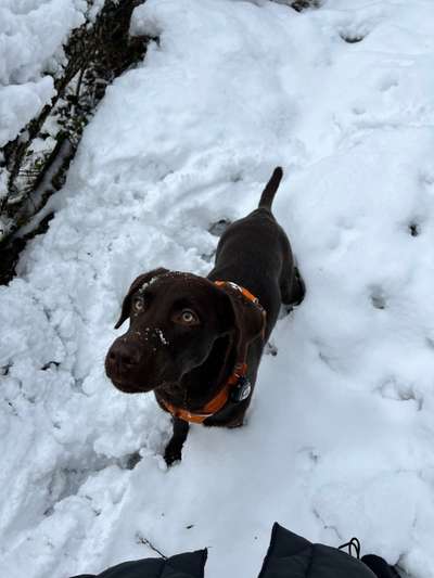 Handy-Foto-Challange Nr.9-Beitrag-Bild