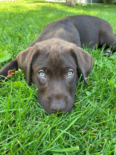 Handy-Foto Challange Nr. 10-Beitrag-Bild