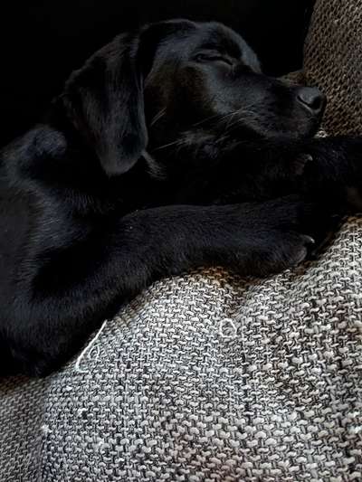 Foto Challenge Nr. 134-Beitrag-Bild