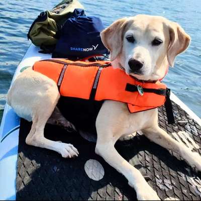 Fotochallenge 27-Beitrag-Bild