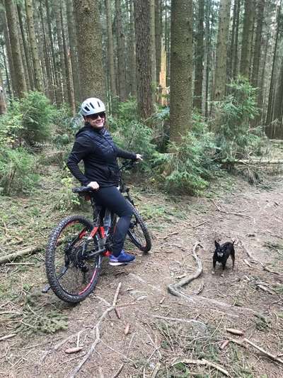 Wo sind die Zwergpinscher?-Beitrag-Bild