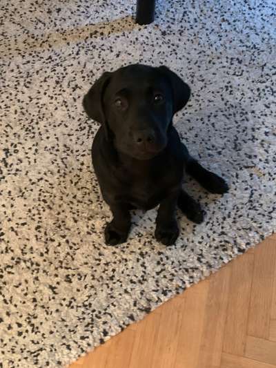 Fotochallange Nummer 5-Beitrag-Bild