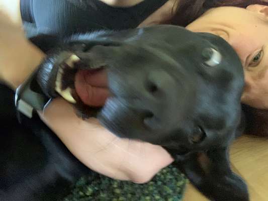 Handyfoto challenge Nr.7-Beitrag-Bild