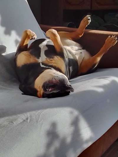 Die unbequemsten und lustigsten Schlafpositionen-Beitrag-Bild