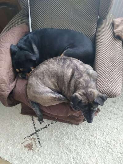 Die unbequemsten und lustigsten Schlafpositionen-Beitrag-Bild