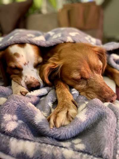 Foto Challenge Nr.: 115-Beitrag-Bild