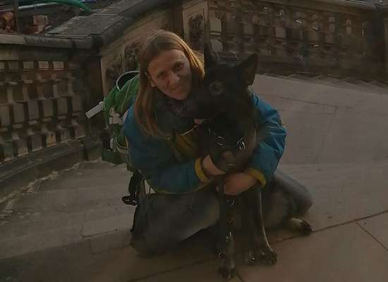 Alles rund um den Schäferhund, diskutieren erwünscht.-Beitrag-Bild