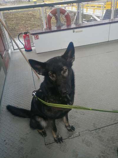 Impulskontrolle Challenge Nr.: 7
         "Gesellschaftsfähig"-Beitrag-Bild