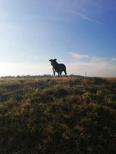 Fotochallenge Nr 107-Beitrag-Bild