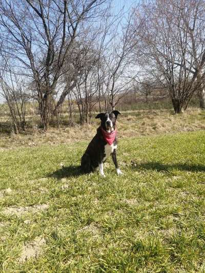 11. Farben Foto Challenge Rot-Beitrag-Bild