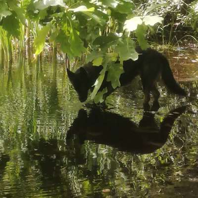 Eure schönsten Fotos mit Wasser-Beitrag-Bild