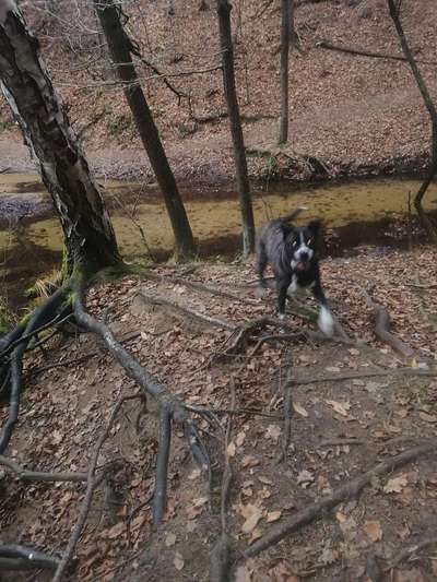 20. Handy -Foto-Callenge-Beitrag-Bild