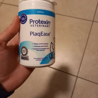 Zahnpflegemittel-Beitrag-Bild