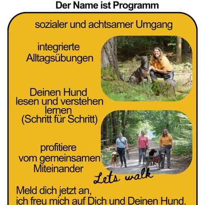 Giftköder-HUNDETRAINING, Social Walks-Bild