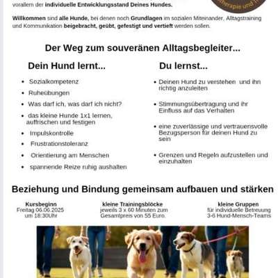 Giftköder-Der Rabaukenkurs-Bild