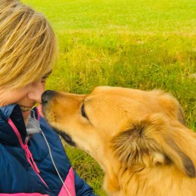 Hundetreffen-Gassirunden-Profilbild