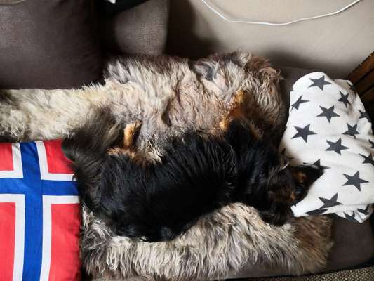 Erfahrung mit Wolkenbett-Beitrag-Bild