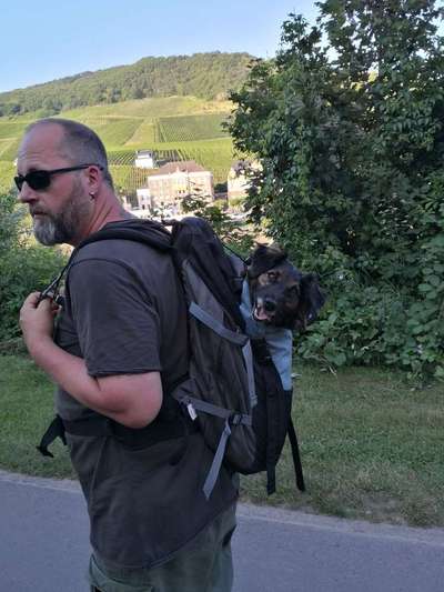 CHALLENGE NR. 18 - ON TOUR-Beitrag-Bild