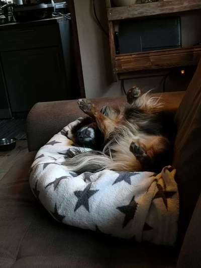 Die unbequemsten und lustigsten Schlafpositionen-Beitrag-Bild