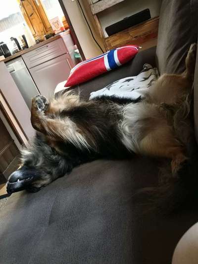 müde der kleine-Beitrag-Bild