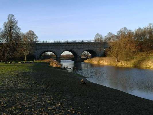 Die wunderschöne Welt mit Hund.-Beitrag-Bild