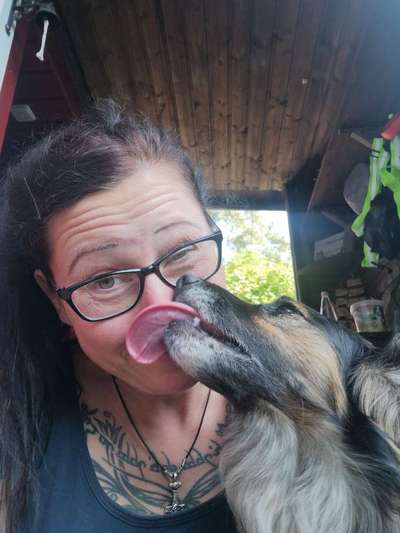 Hundmenschfotos-Beitrag-Bild