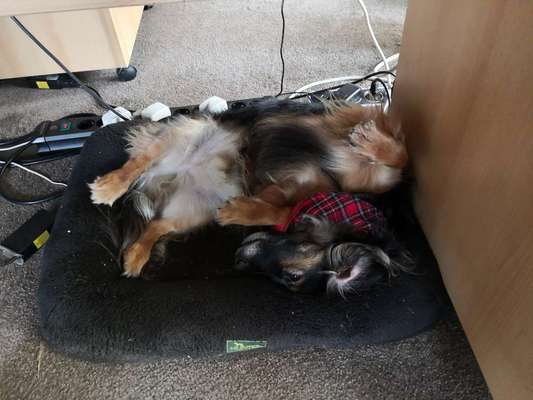 In welchem Beruf seid ihr tätig?-Beitrag-Bild