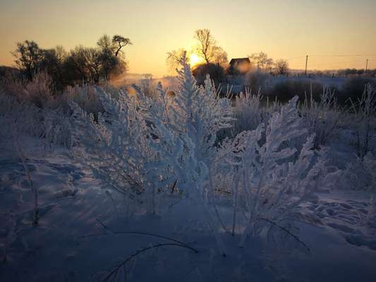 Die wunderschöne Welt mit Hund.-Beitrag-Bild