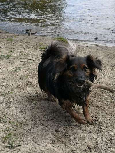 Immer lächeln !-Beitrag-Bild