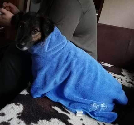 Überforderung und unterforderung-Beitrag-Bild