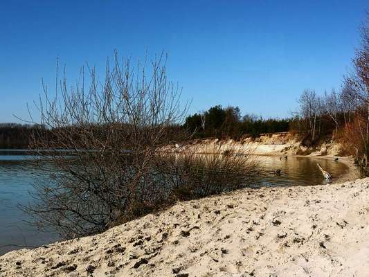 Die wunderschöne Welt mit Hund.-Beitrag-Bild