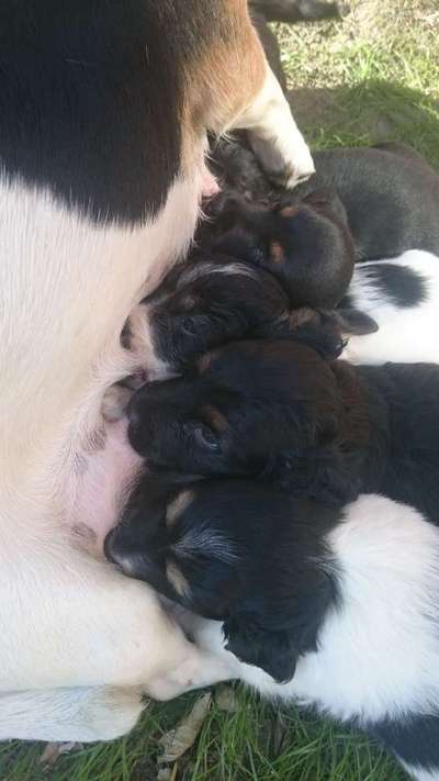 Erstes Bild-Beitrag-Bild