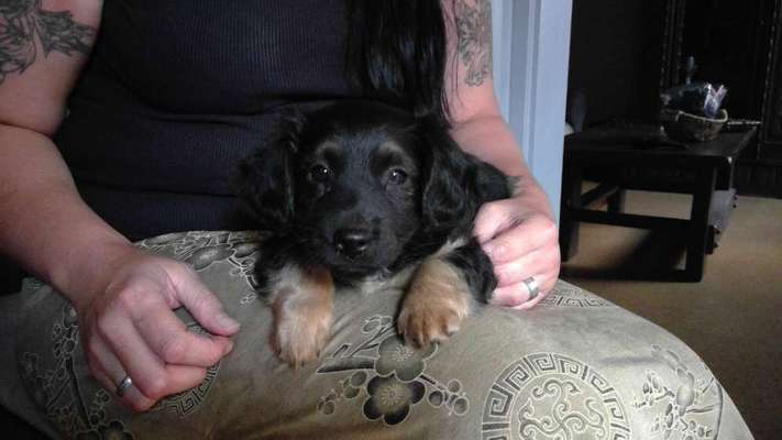 Das erste Foto-Beitrag-Bild