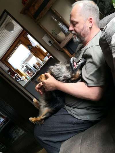 Lustige Bilder-Beitrag-Bild