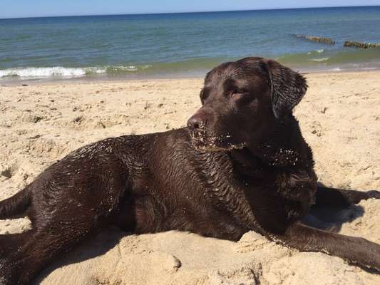 Theos Fotochallange Nummer 4-Beitrag-Bild