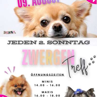 Hundetreffen-https://www.donnys-deinhundetreff.de/-Bild