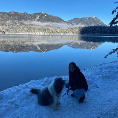 Hundetreffen-Social Walk mit zertifizierter Trainerin ab April