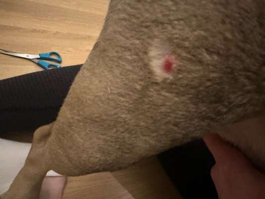 "Pickel am Bein"?-Beitrag-Bild