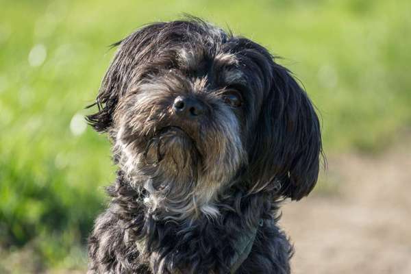 Zeigt eure Portraits-Beitrag-Bild