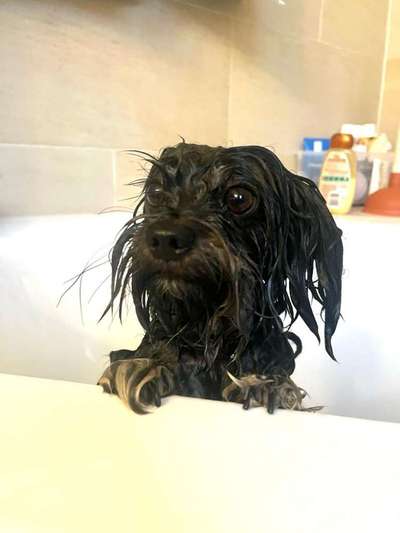 22. Handy Foto - Challenge-Beitrag-Bild