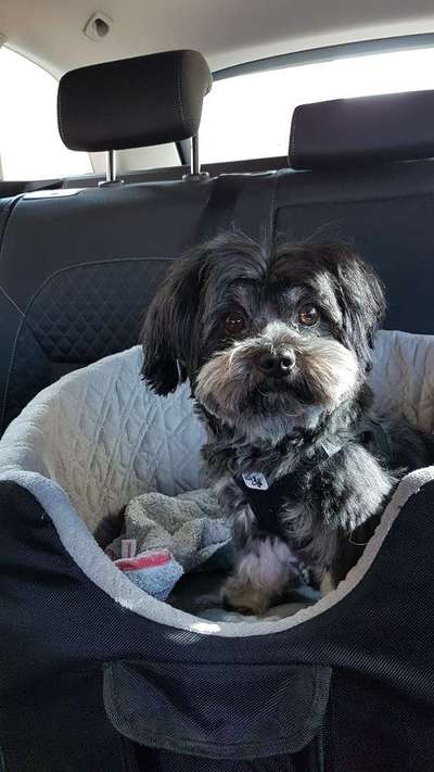 117. Fotochallenge-Beitrag-Bild