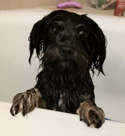 Fotochallenge 128-Beitrag-Bild