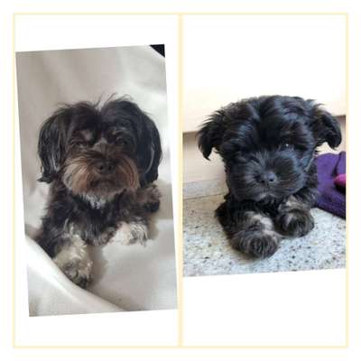 28. Handy-Fotochallenge - Damals und heute-Beitrag-Bild