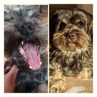 26. Handy Foto Challenge-Beitrag-Bild