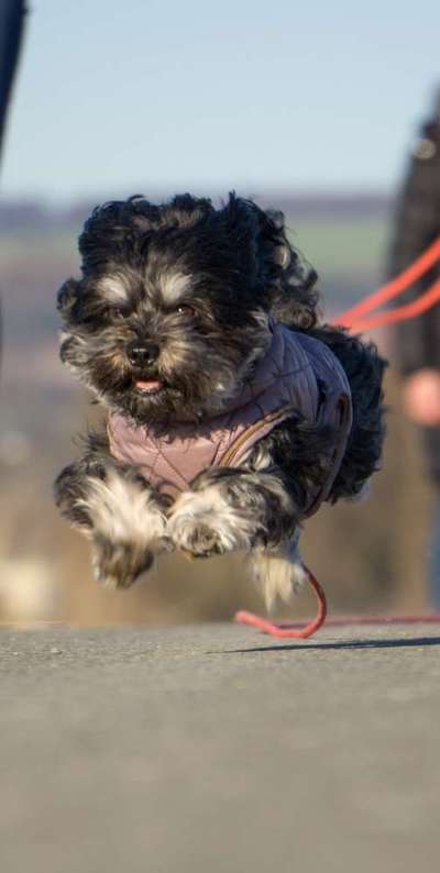 Austausch zur Fotografie-Beitrag-Bild